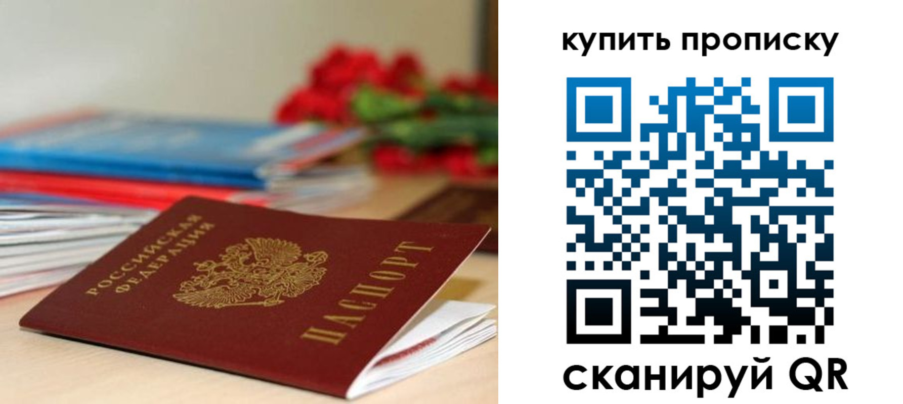 прописка в Боготоле